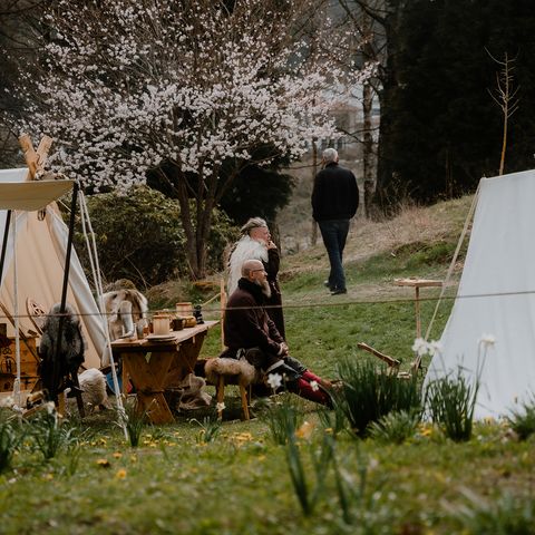 Auf dem Gelände zur Walpurgis in Schierke sind Zelte im Kurpark aufgebaut.